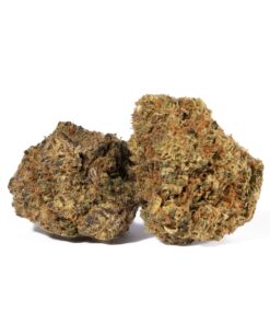 Moby Dick (AA+) - Image 1