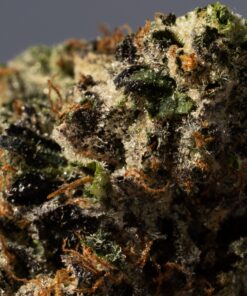 OG Kush (AA+) - Image 5