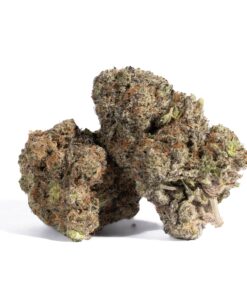 Pacific Frost (AAA+) - Image 1