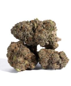 Pacific Frost (AAA+) - Image 3