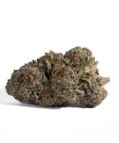 Pacific Frost (AAA+) - Image 2