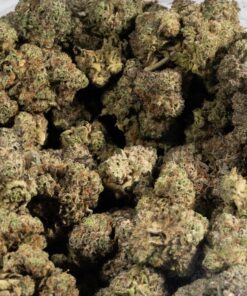 Pacific Frost (AAA+) - Image 4