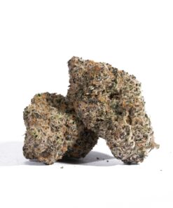 Champagne Kush (AAA+) - Image 1