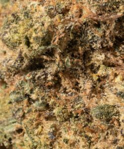 Pennywise (AA) - Image 4