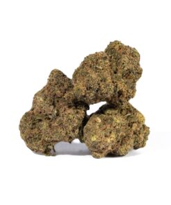 Pennywise (AA) - Image 3