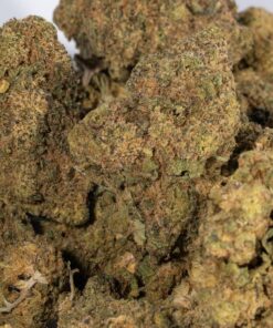 Pennywise (AA) - Image 5