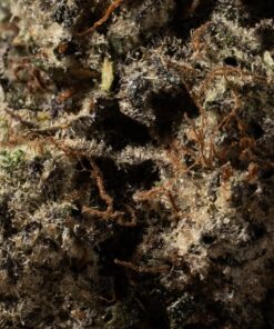 SFV OG (AAA+) - Image 4