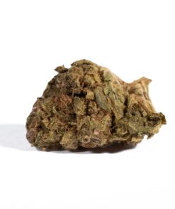 Shiva Skunk (A) - Image 3