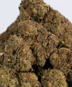 Sharks Breath (AAA) - Image 3