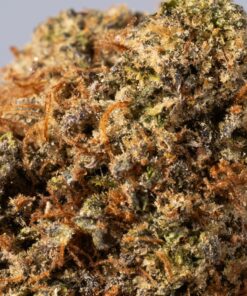 Sharks Breath (AAA) - Image 4