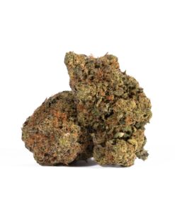 Sharks Breath (AAA) - Image 1