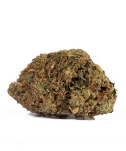 Sharks Breath (AAA) - Image 5