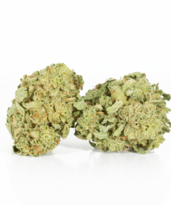 Sunshine (AA) - Image 2