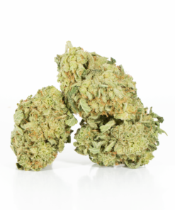 Sunshine (AA) - Image 1