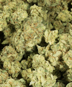 Sunshine (AA) - Image 4