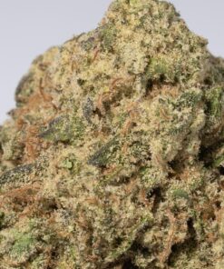 Super Lemon Haze (AAA) - Image 3