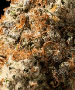 Tahoe OG (AAA) - Image 5