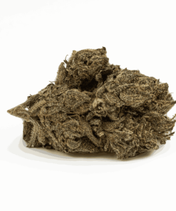 Gasolina (AA) - Image 3