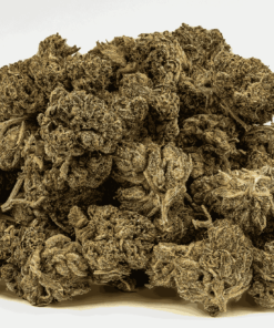 Gasolina (AA) - Image 4