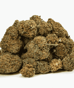 Guava Bomba (AA) - Image 4