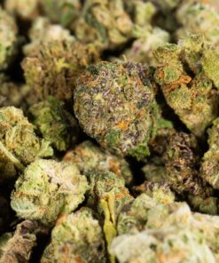 Mini Buds (AA) - Image 2