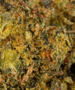 Zkittlez Smalls (AA) - Image 4