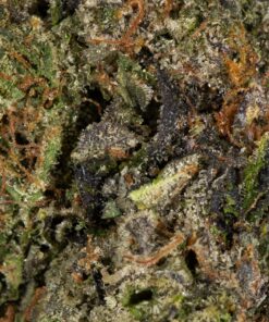 Amnesia Haze (AAAA) - Image 5