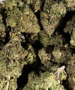 Amnesia Haze (AAAA) - Image 4