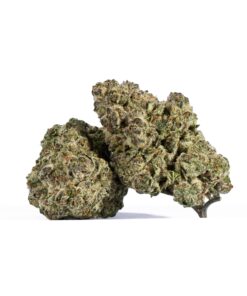 Ricky Bobby OG (AAAA+) - Image 1