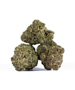 Ricky Bobby OG (AAAA+) - Image 3