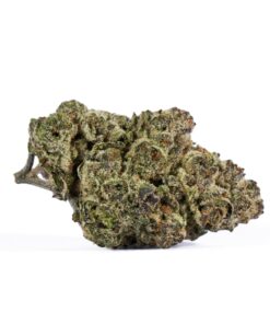 Ricky Bobby OG (AAAA+) - Image 2
