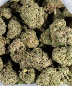 Ricky Bobby OG (AAAA+) - Image 5