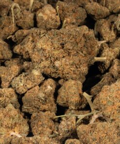 Strawberry Cough (A) - Image 4
