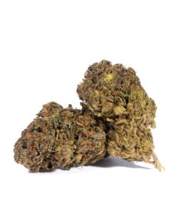 Gastro Pop (AA) Promo - Image 1