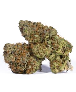 Acapulco Gold (AAAA) Promo - Image 1