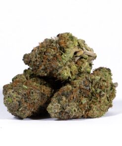 Acapulco Gold (AAAA) Promo - Image 3