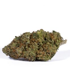Acapulco Gold (AAAA) Promo - Image 2