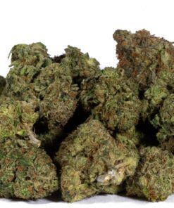 Acapulco Gold (AAAA) Promo - Image 4