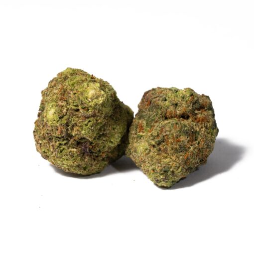 APPLE-FRITTER-1.jpg