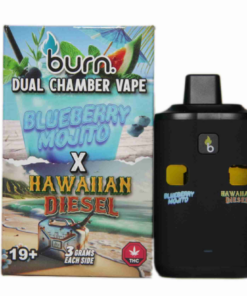 Burn Dual Vape (6g) - Blueberry Mojito + Hawaiian Diesel - Image 1