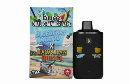 Burn-Dual-6g-Blueberry-MojitoHawaiian-Diesel.png