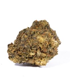 Cherry Dosi (A) Promo - Image 1