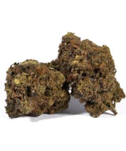 Double Mint (AA) - Image 1