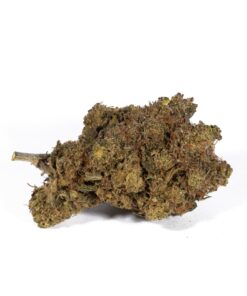 Double Mint (AA) - Image 2