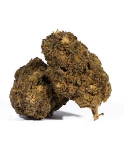 Super Boof (AA) Promo - Image 1