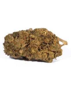 Super Boof (AA) Promo - Image 4