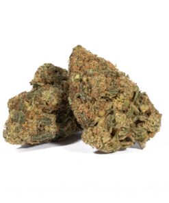 Alaskan Thunder Fuck (AA) - Image 1