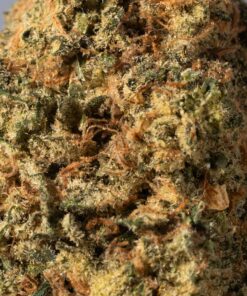 Alaskan Thunder Fuck (AA) - Image 4