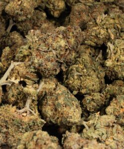 Alaskan Thunder Fuck (AA) - Image 5