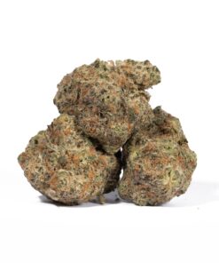 London Poundcake (AAA) - Image 2